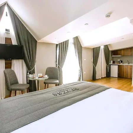 Beyzas Hotels&suites * Istanbulská provincie